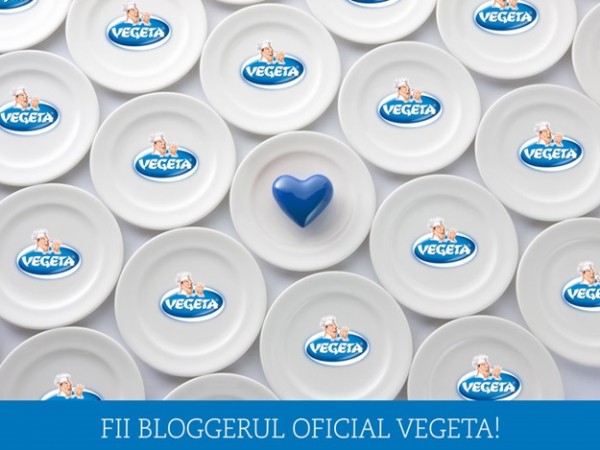 fii-blogger-oficial-vegeta-600x450